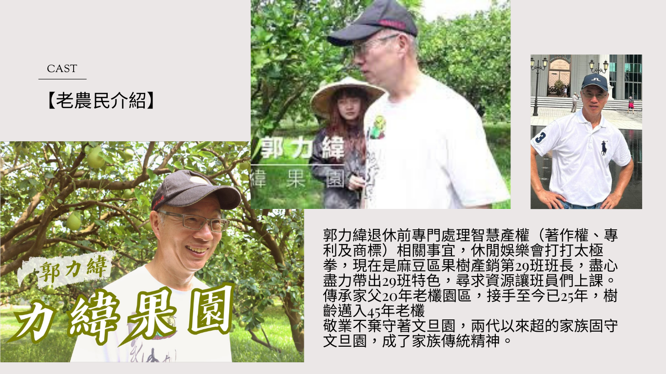 文旦