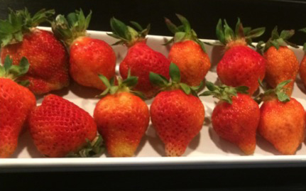 豐味果品-草莓切盤